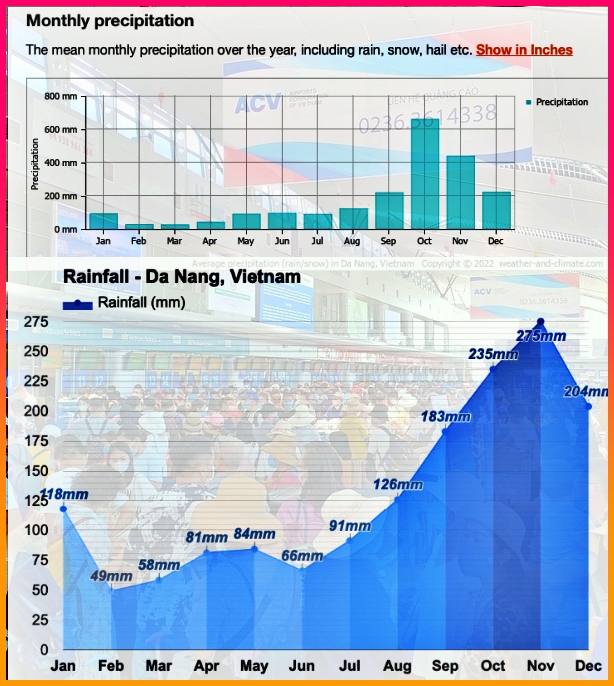 다낭 11월 우기 기간