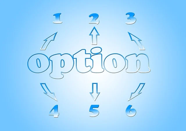 알기 쉬운 옵션(OPTION) 투자 입문 가이드