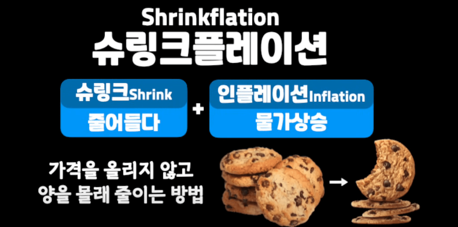 슈링크플레이션 뜻