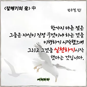 갈매기의 꿈 줄거리 자기초월 우화 리처드 바크_19