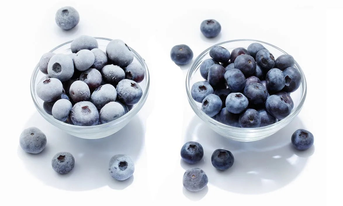 블루베리 효능 먹는법 하루 섭취량 쥬스_4