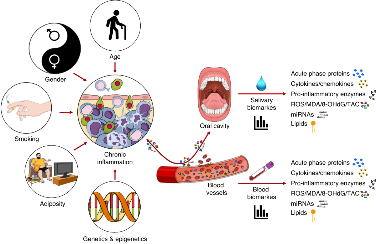 타액으로 신경계 질환 조기 진단 기술 개발 관련 이미지