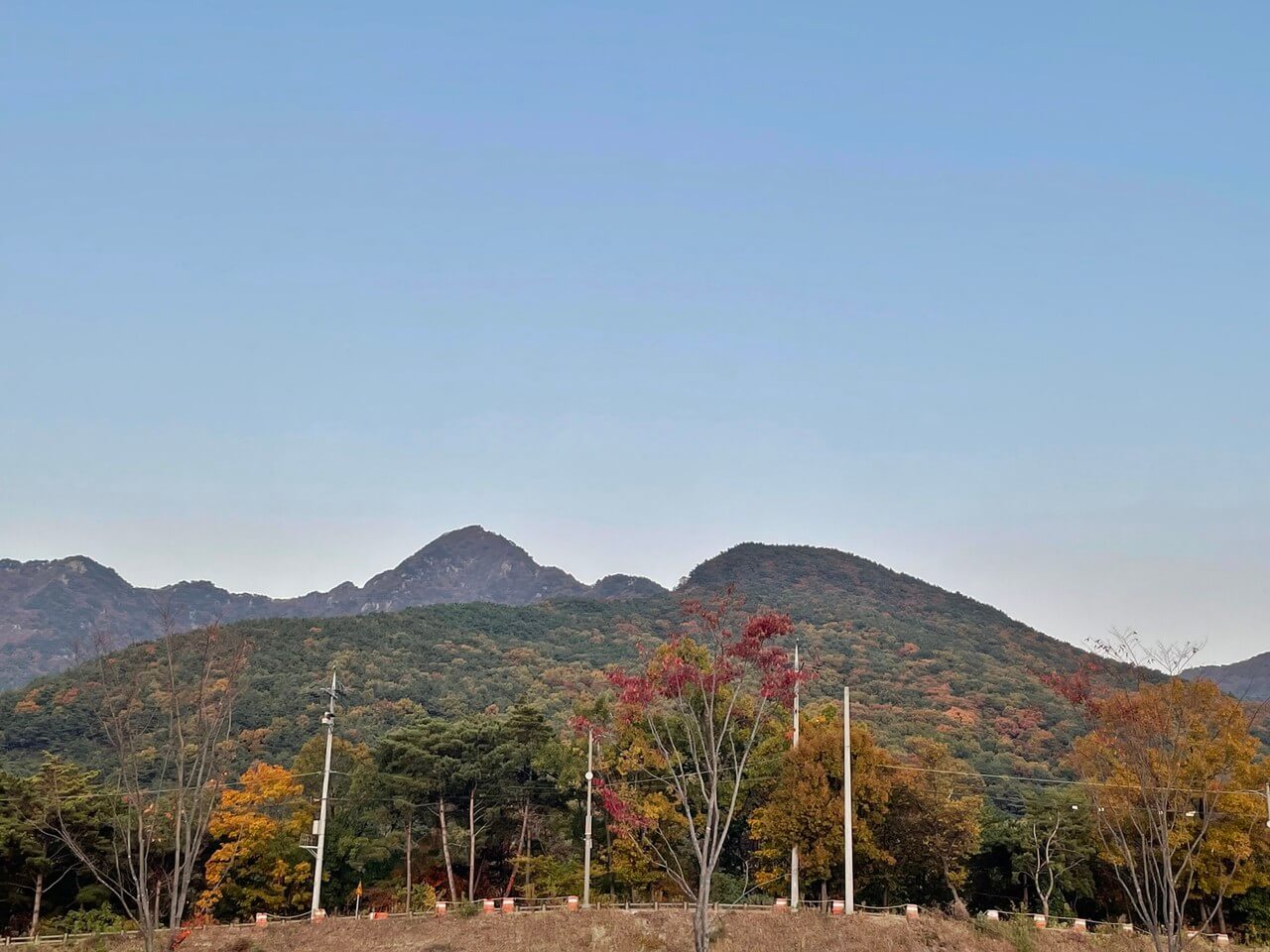 대구 가볼만한 단풍 여행은 어디일까? 대구 단풍 여행 총정리!