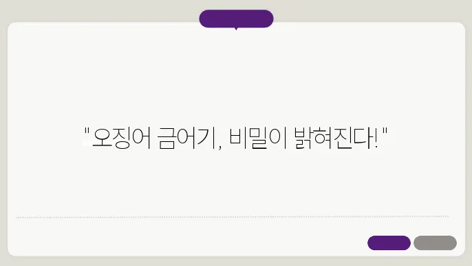 오징어 금어기
