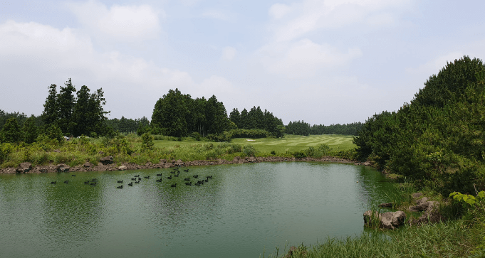 제12회 제주삼다수 마스터스 무료티켓 주차장 갤러리 총정리