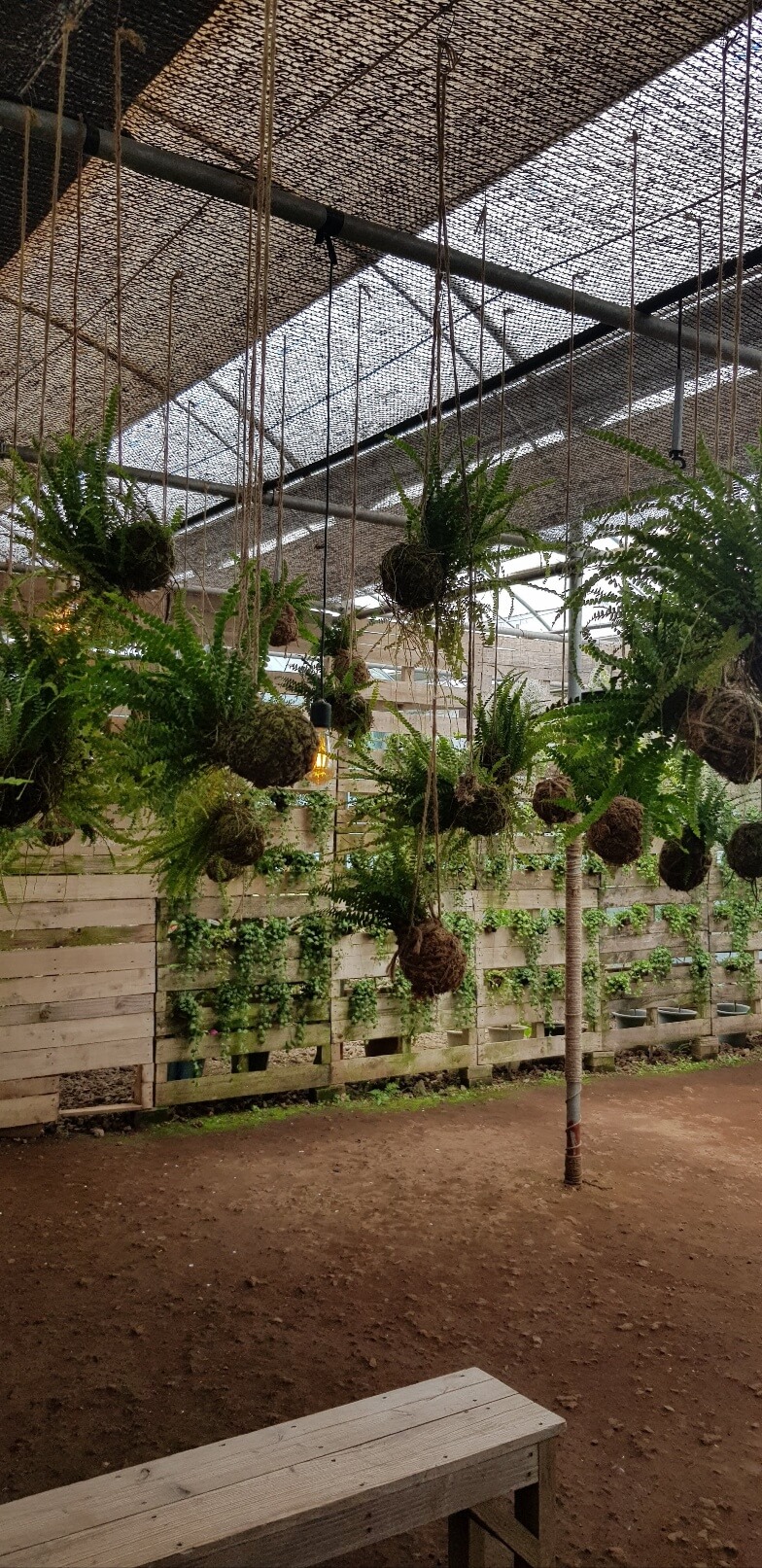 제주도에서 급할 때 유용한 정보! 24시간 문여는 약국 총정리