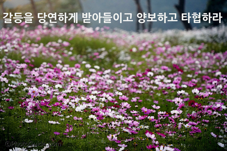 부부십계명-부부10계명