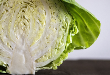 코울슬로 만들기