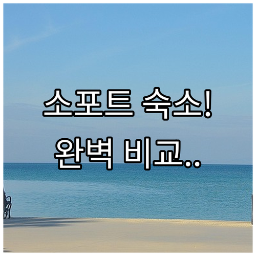 소포트 자유여행 숙소 결정 팁 오션뷰..
