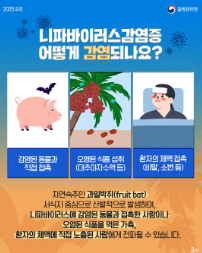 니파바이러스-감염경로-출처:질병관리청