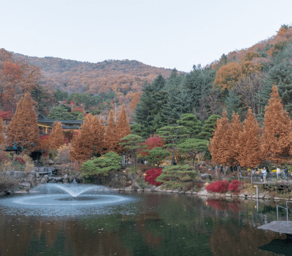 단풍축제 화담숲