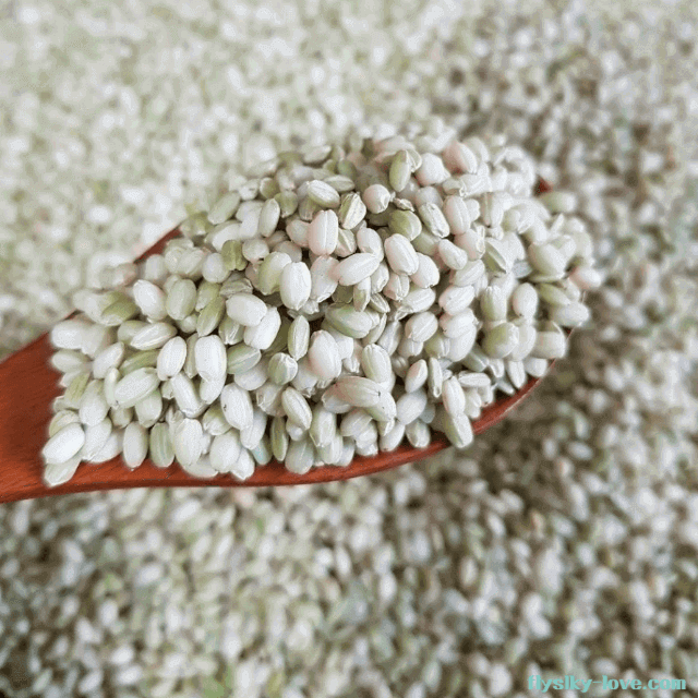 라이신 성분이 풍부한 찰녹미