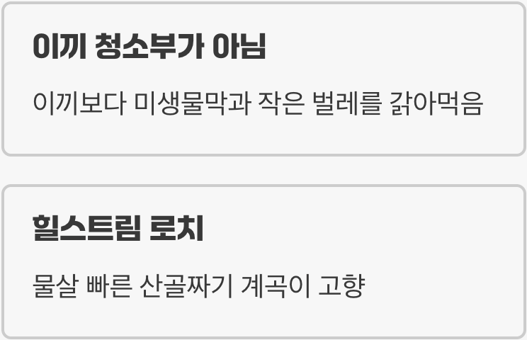 '비파'라는 이름의 함정