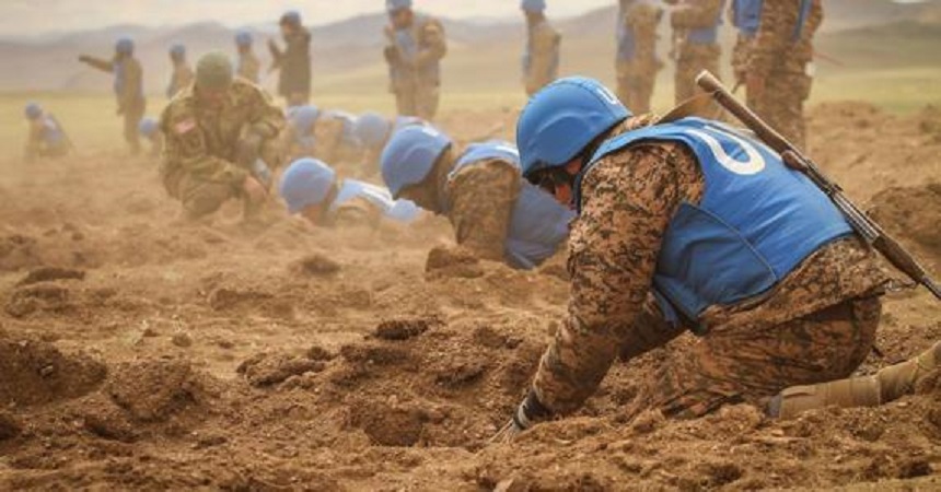 국제기구의 평화유지 역할