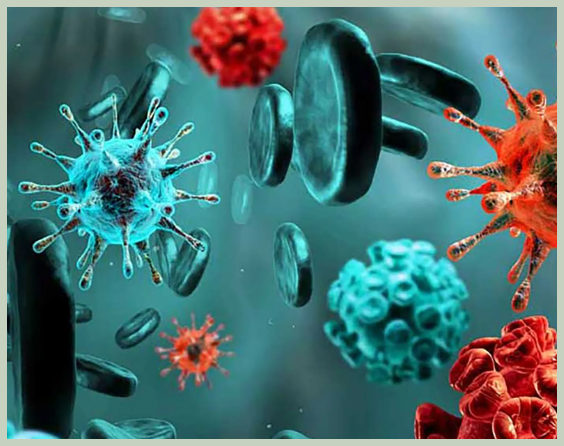 몸속 독소가 쌓이는 곳