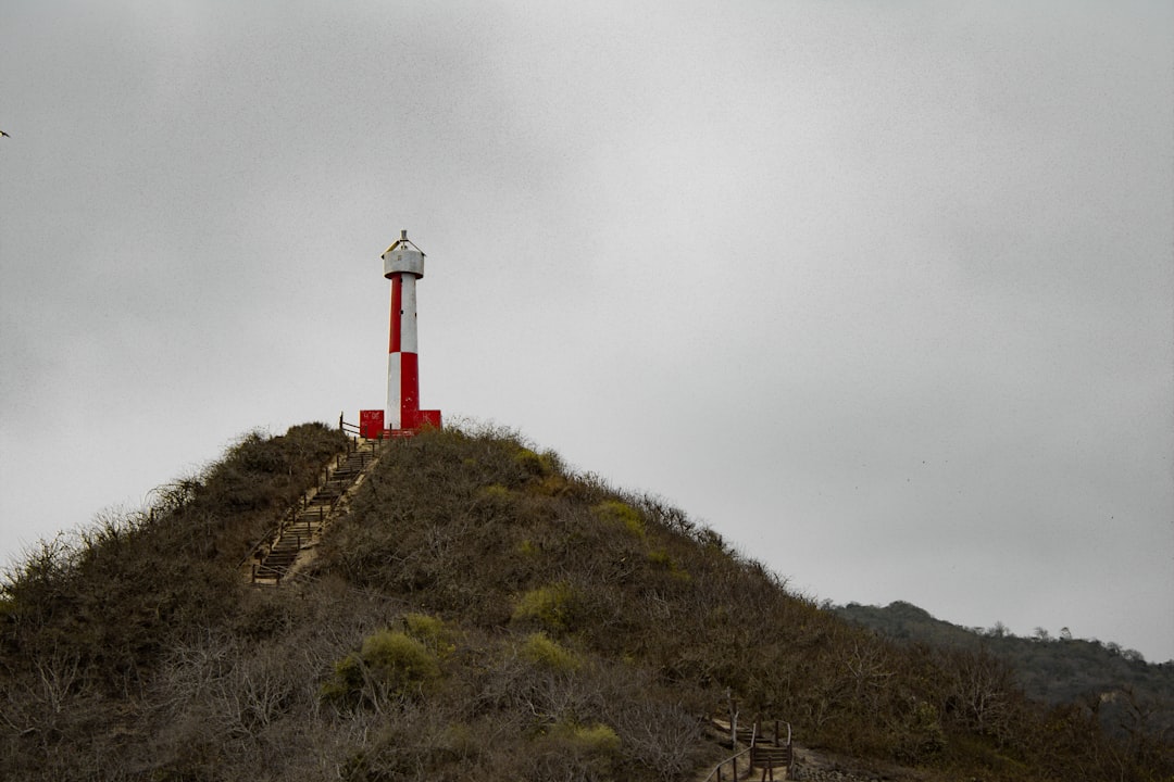 Manta