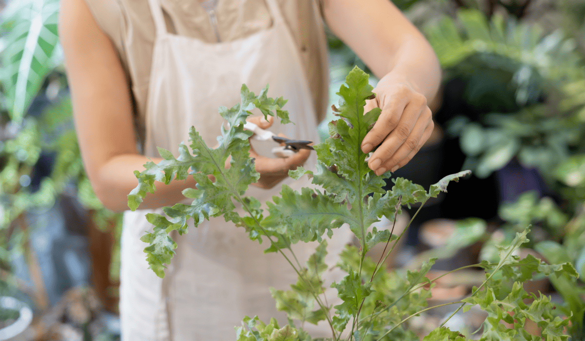 소상공인_창업대출_4