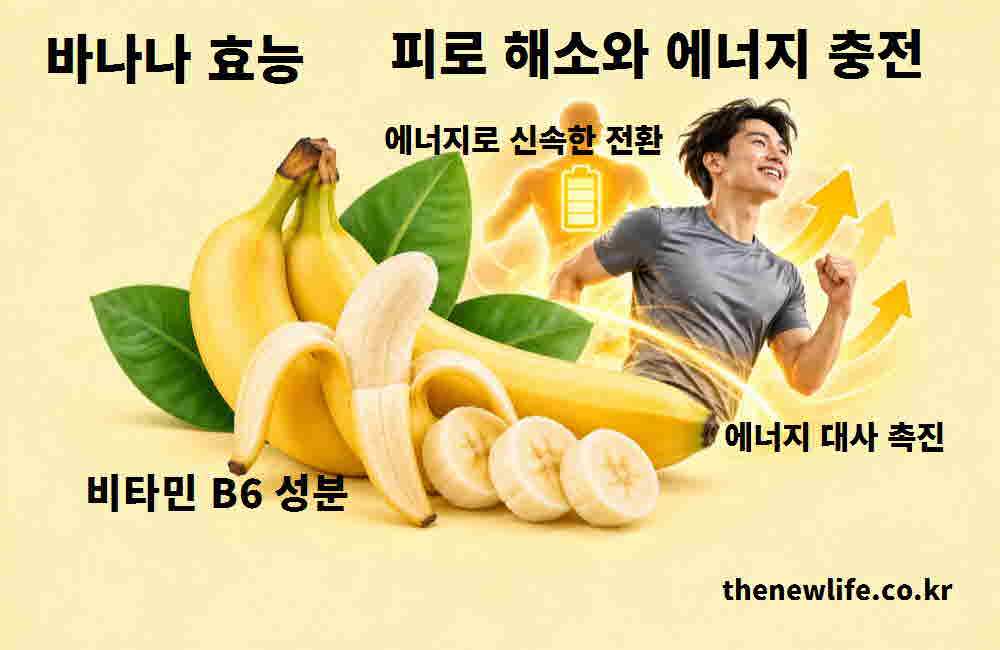 바나나 효능 피로 해소 에너지 충전