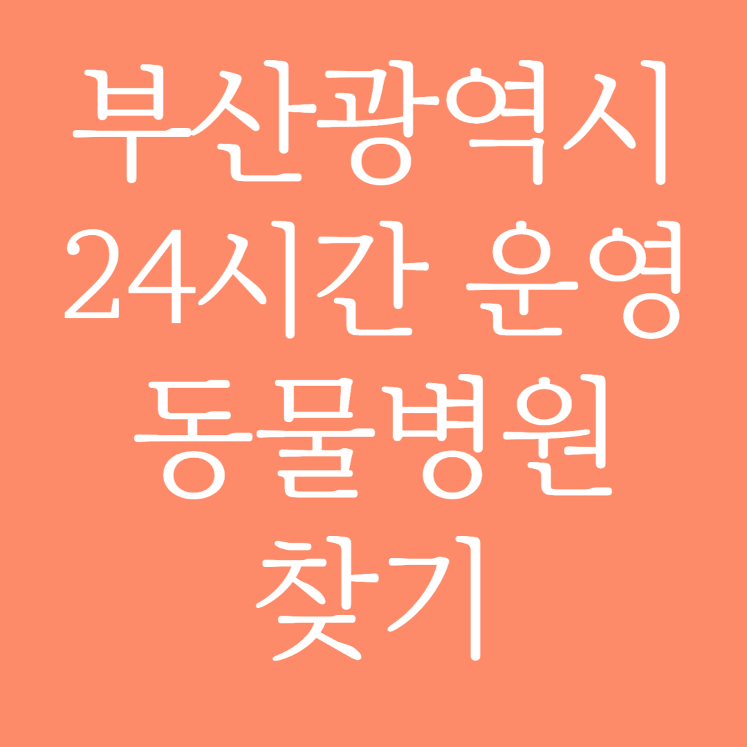 부산광역시 24시간 운영 동물병원 찾기