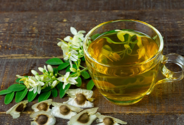 모링가 효능과 먹는법