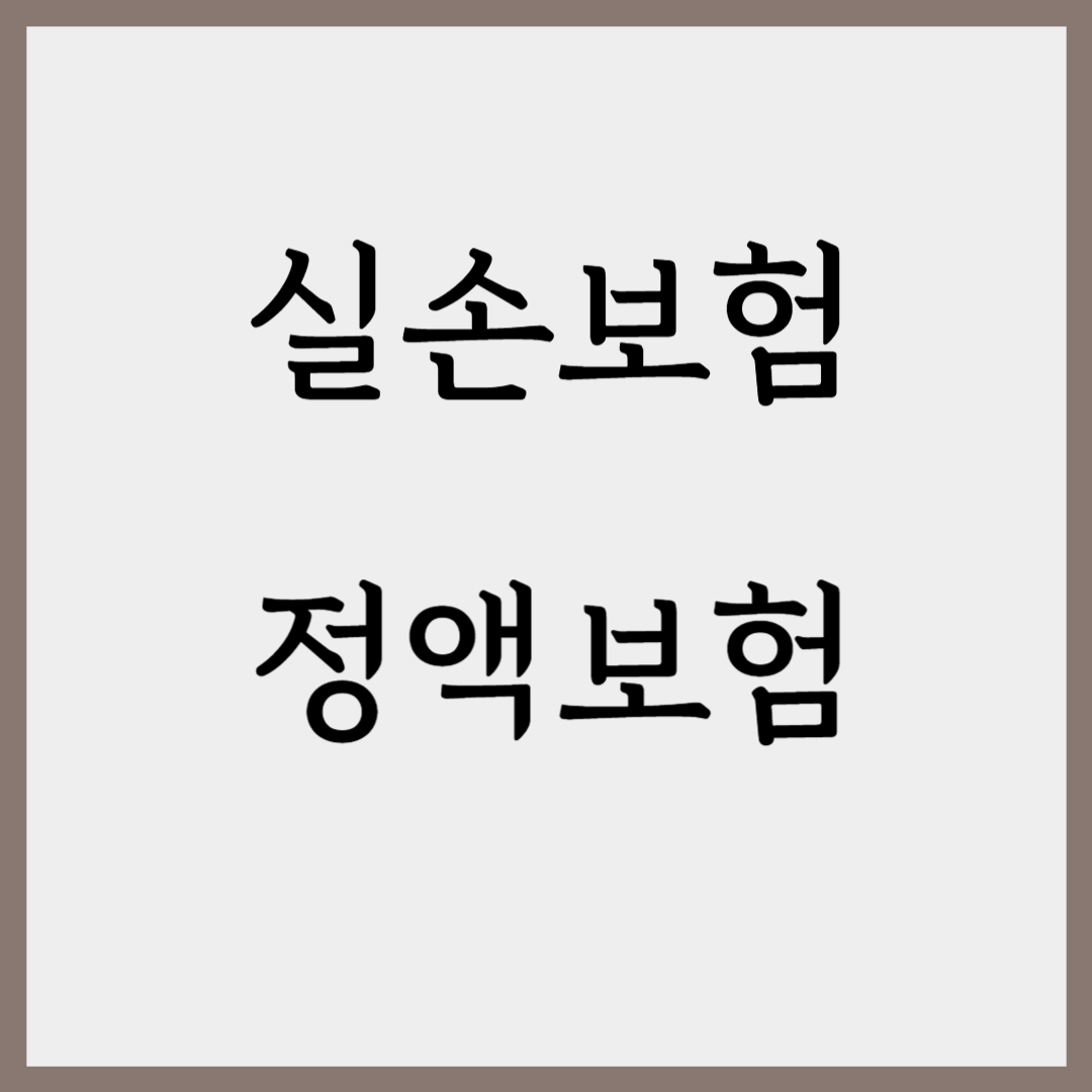 실비보험