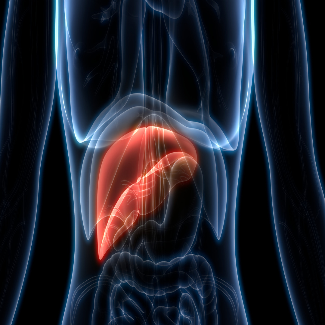 40대 남성 간 관리법 (운동과 식사)