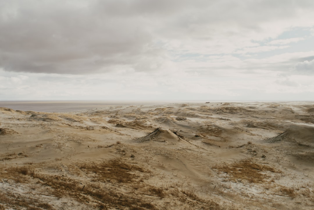 Dust