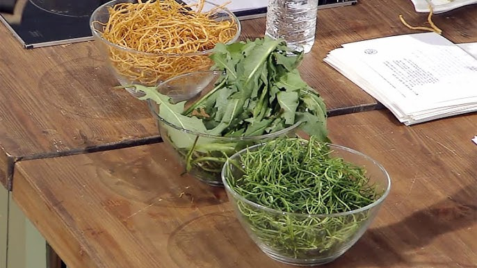 활성산소 제거하는 음식과 영양소