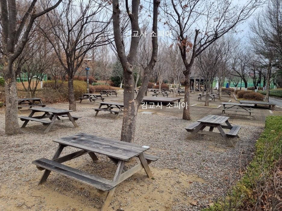 고양피크닉시민 공원 이용 후기 🏞️🌿& 팁