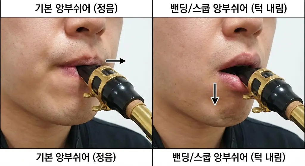 스쿱과 밴딩 기술의 핵심인 **'입 모양(앙부쉬어) 변화'**를 보여주는 이미지