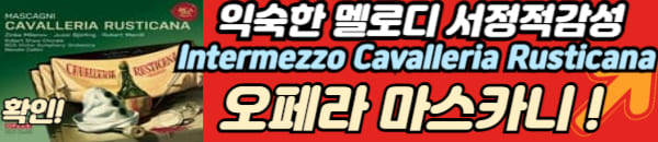 마스카니