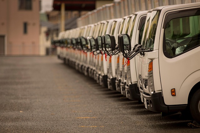 카고 트럭 순위