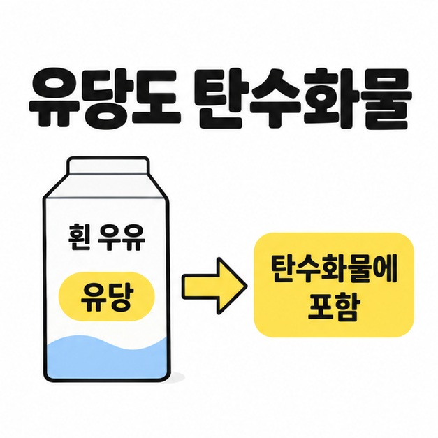 흰 우유에 들어 있는 유당이 탄수화물에 포함된다는 관계 도식