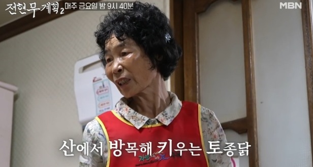 구례토종닭