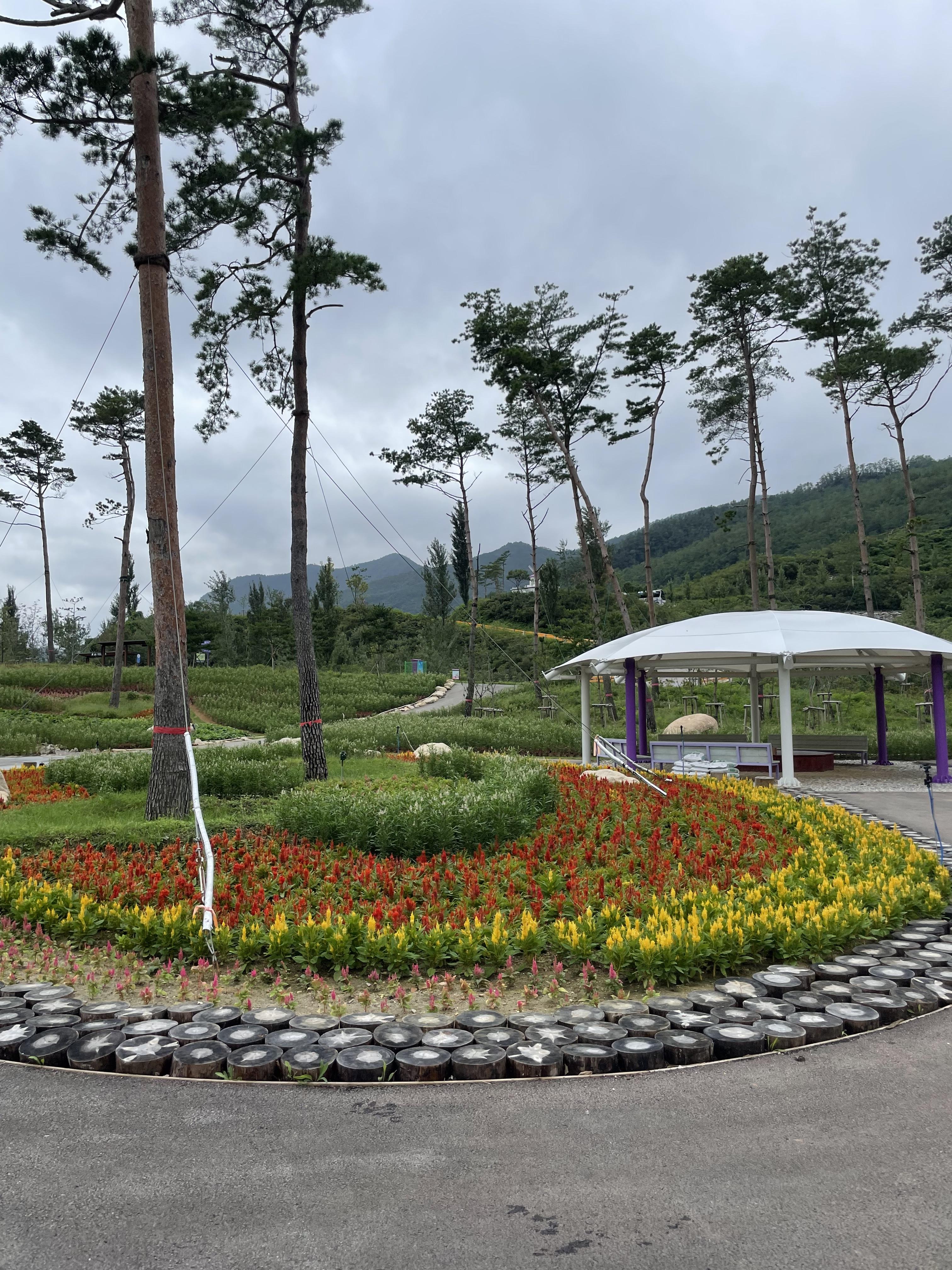 동해 무릉별유천지