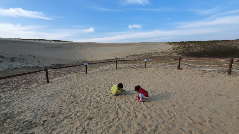 신두리해안사구