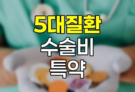 메리츠화재 5대질환수술비 특약 심층 분석