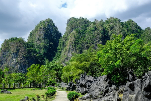 울창한 나무 숲에 둘러싸인 Leang Leang cave complex