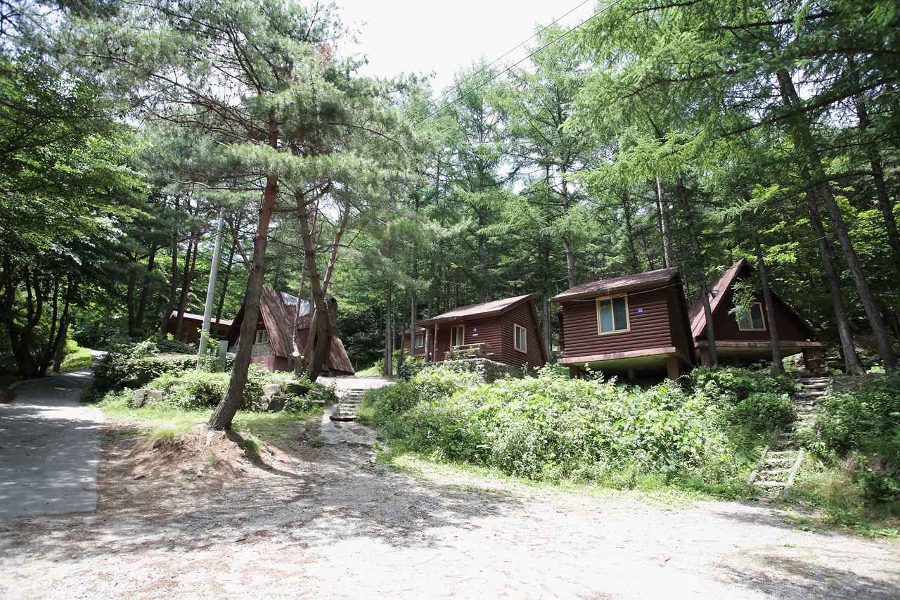 금원산자연휴양림