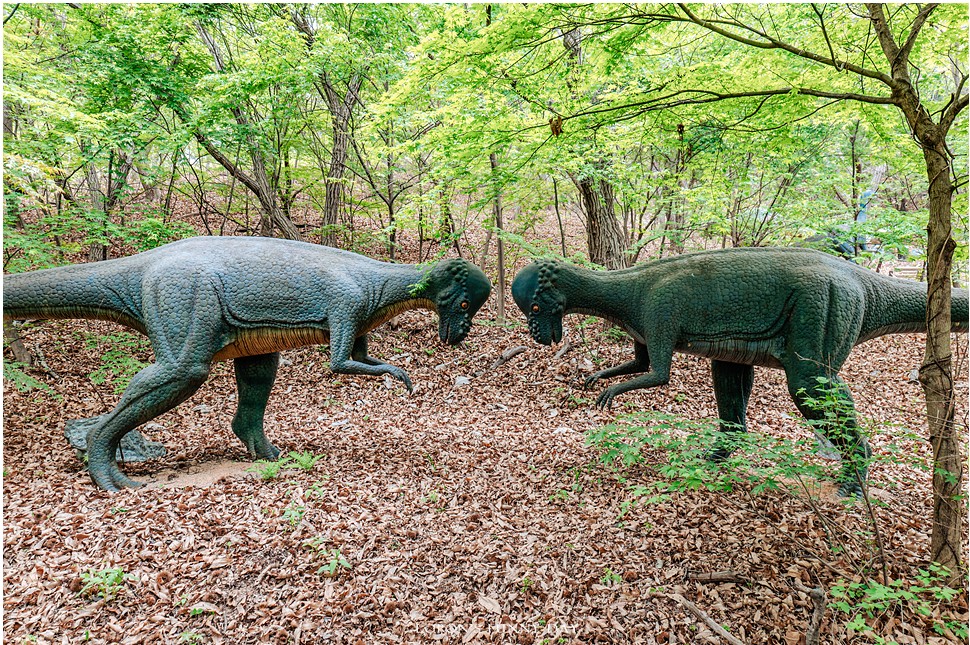 강화-옥토끼우주센터사진