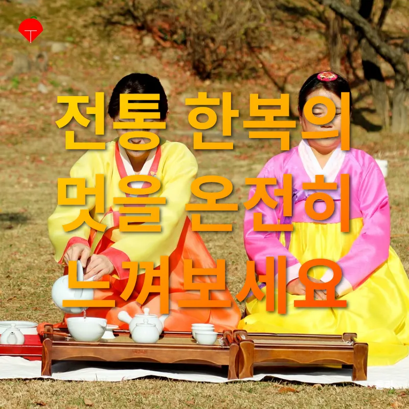 전통 한복의 아름다움_1