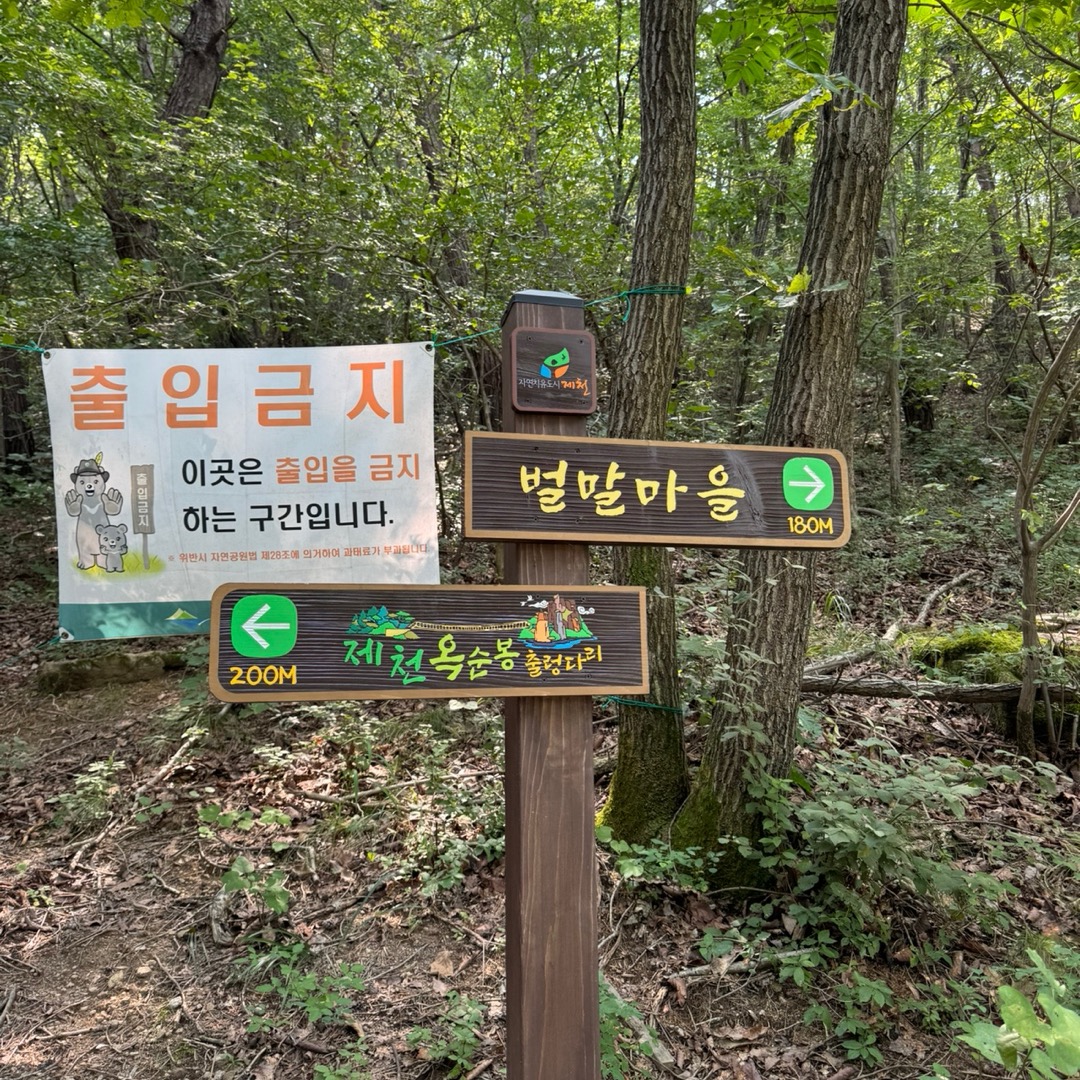 벌말마을 가는 길