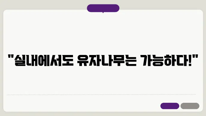 유자나무 물주기 포인트