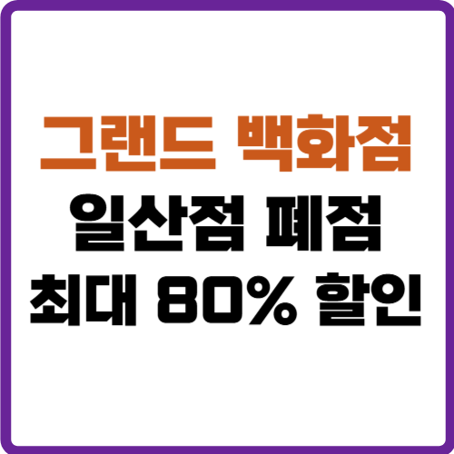 일산 그랜드 백화점 폐점