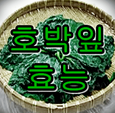 호박잎 효능 7가지 총정리!