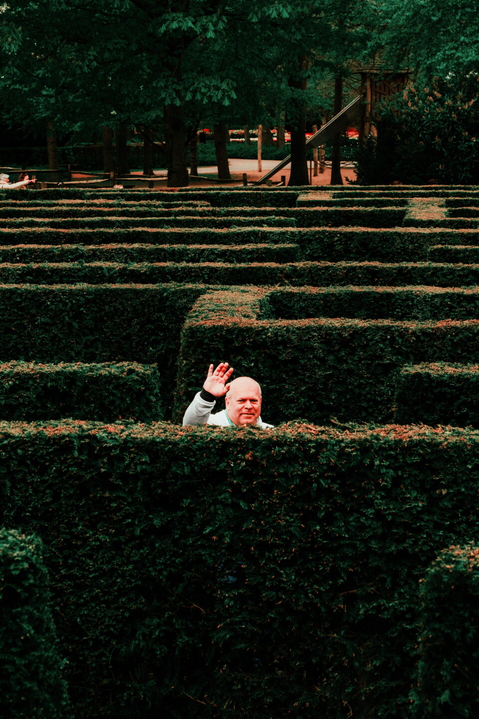 네덜란드 튤립축제