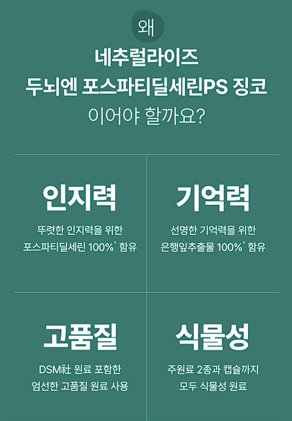 뇌 영양제 추천 TOP5 치매 예방