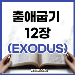 출애굽기 12장 1~51절 요약 [구약성경문제]