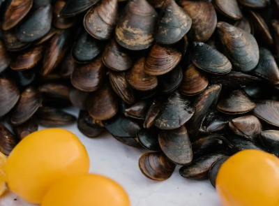 홍합탕 끓이는법