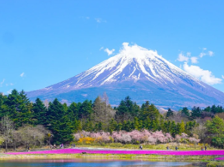 일본-입국-비지트-재팬